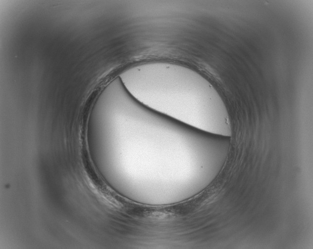 X0000065240542200602170957