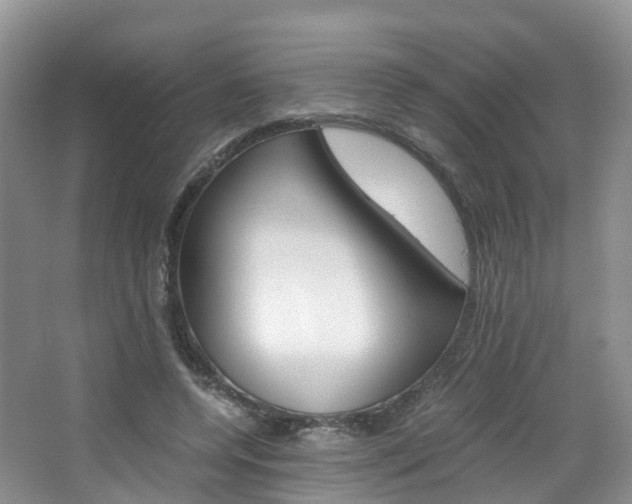 X0000065240544200602170957