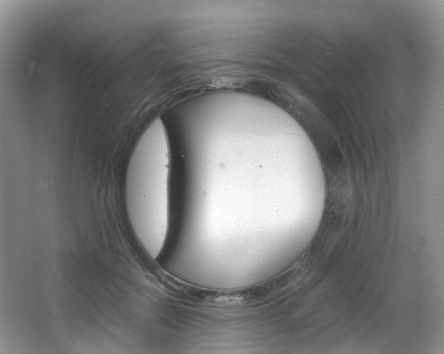 X0000065240554200602170957