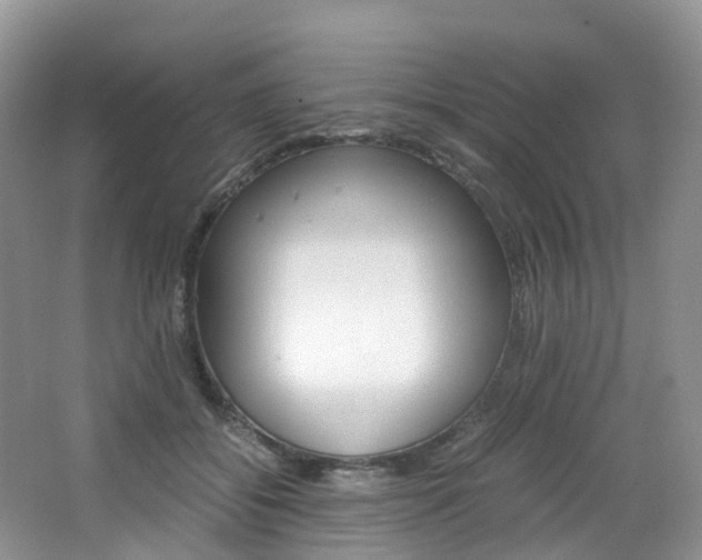 X0000065240556200602170957
