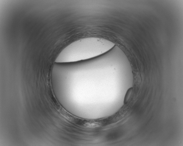 X0000065240557200602170957