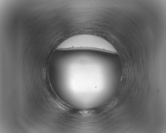 X0000065240558200602170957