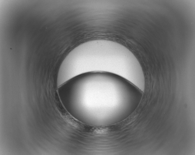 X0000065240560200602170957