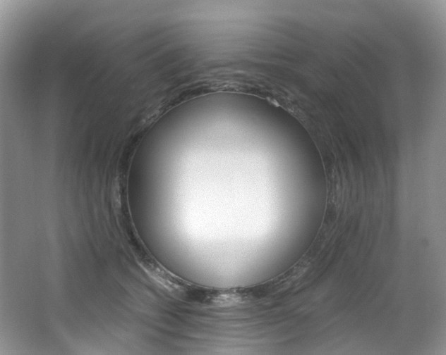 X0000065240562200602170957