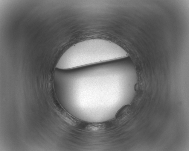 X0000065240563200602170957