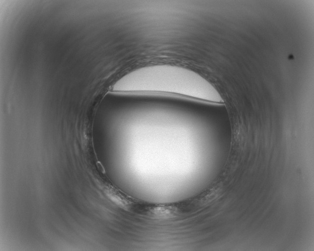 X0000065240566200602170957