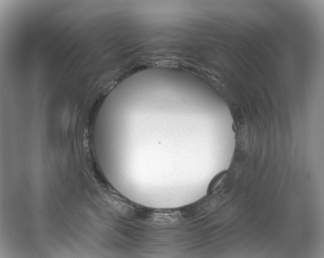 X0000065240571200602170957