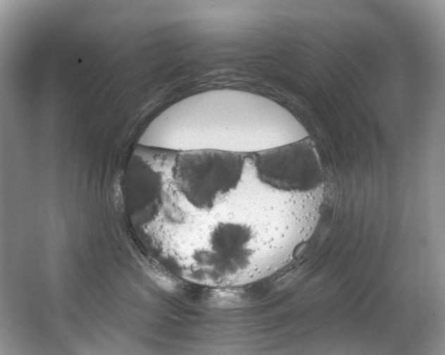X0000065240573200602170957