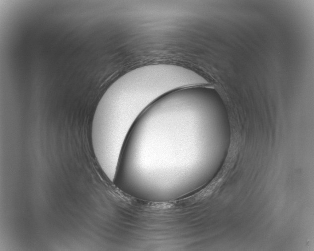 X0000065240576200602170958