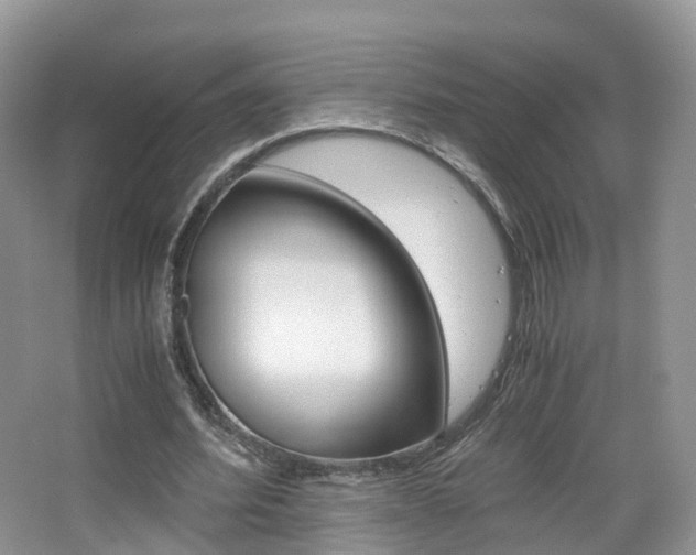 X0000065240580200602170957