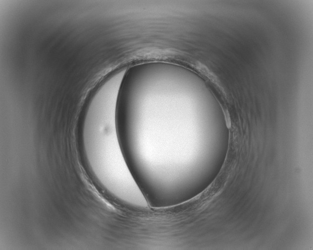 X0000065240581200602170957