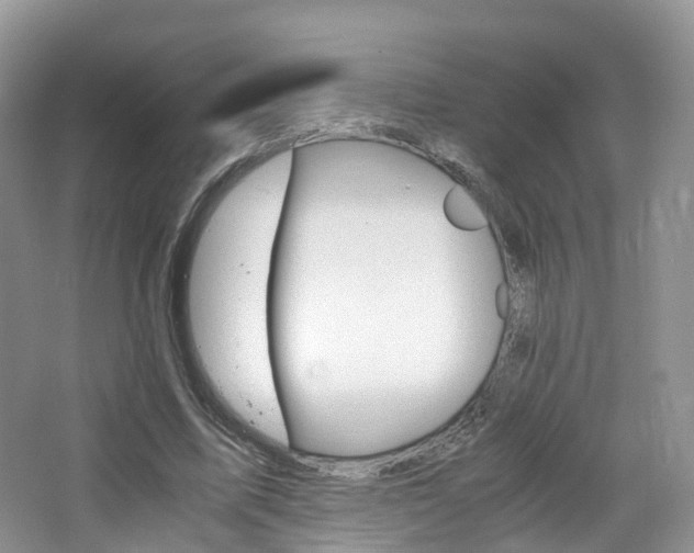 X0000065240587200602170956