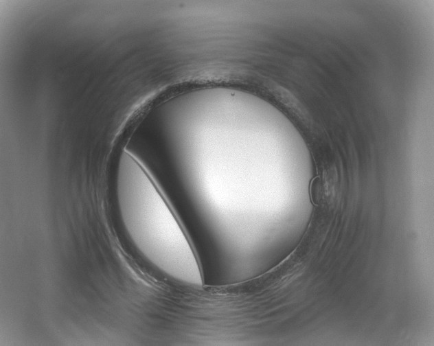 X0000065240588200602170956
