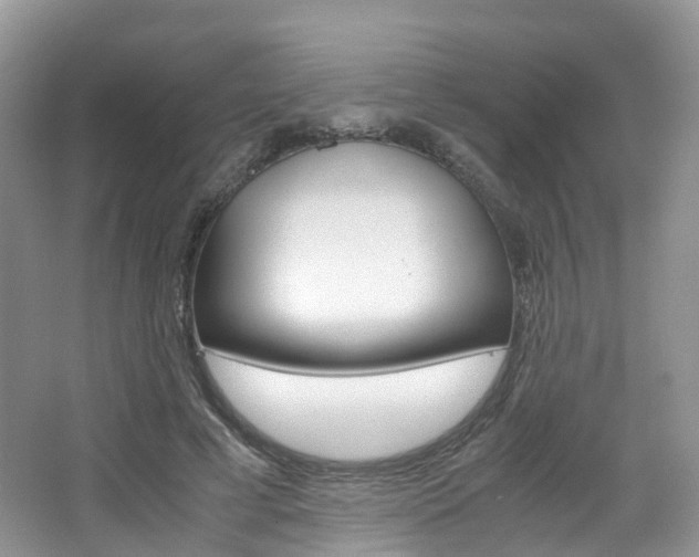 X0000065240593200602170956