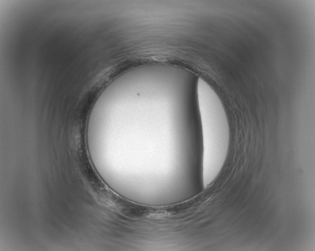 X0000065240595200602170956