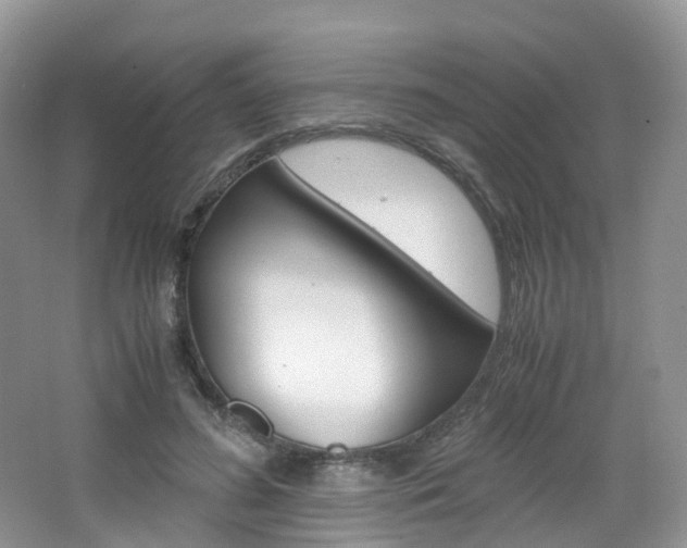 X0000065240596200602170956