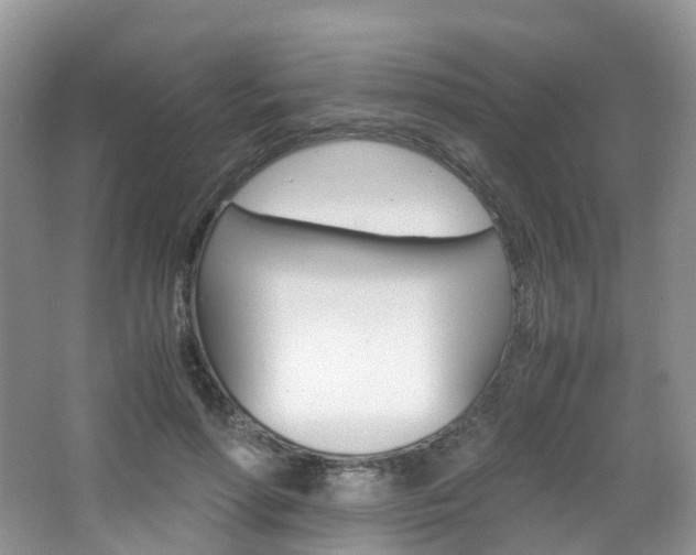 X0000065240598200602170956