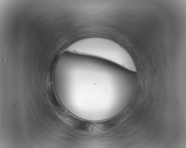X0000065240599200602170956