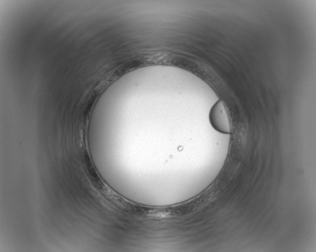 X0000065240602200602170956