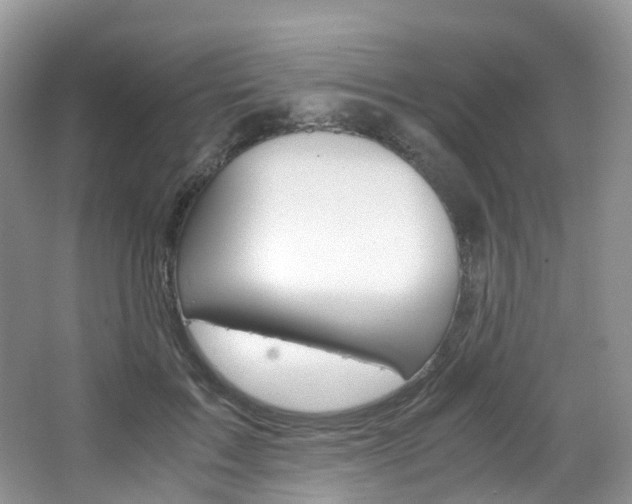 X0000065240603200602170956