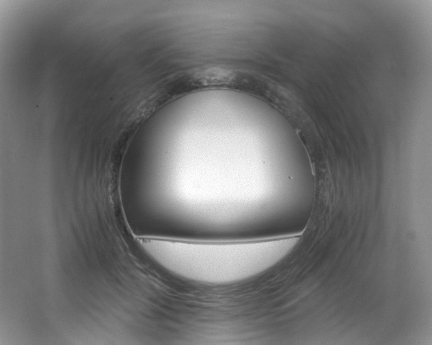 X0000065240604200602170956