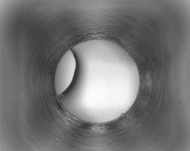 X0000065240606200602170956