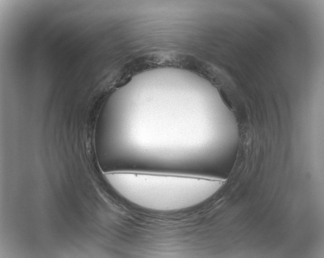 X0000065240607200602170956