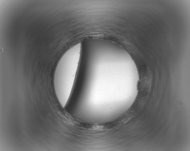 X0000065240609200602170956