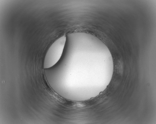 X0000065240610200602170956