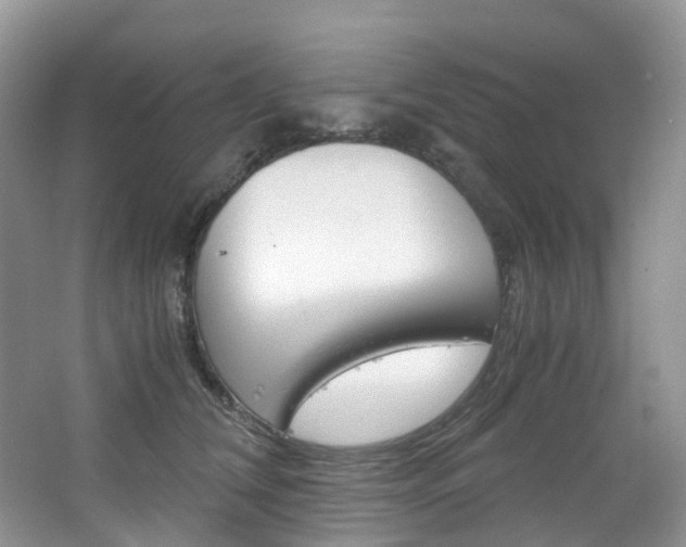 X0000065240612200602170956