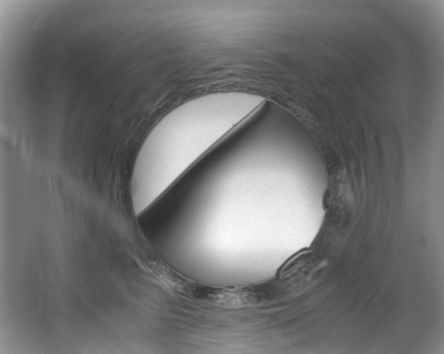 X0000065240615200602170956