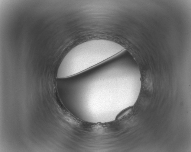 X0000065240616200602170956