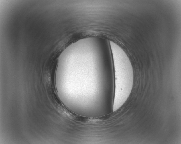 X0000065240617200602170956