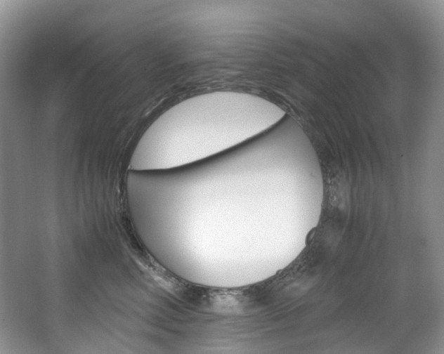 X0000065240618200602170956