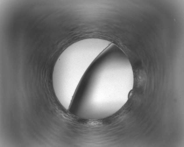 X0000065240619200602170956
