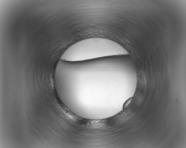 X0000065240622200602170956