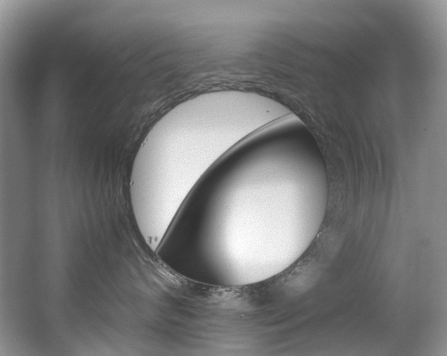 X0000065240624200602170956