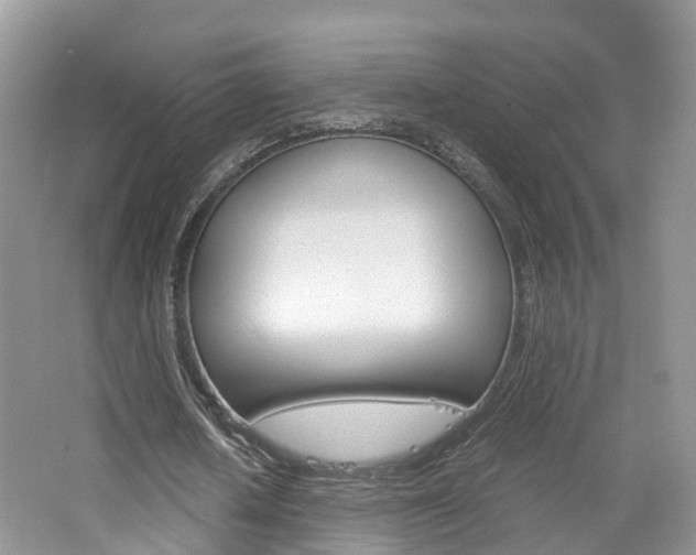 X0000065240626200602170955