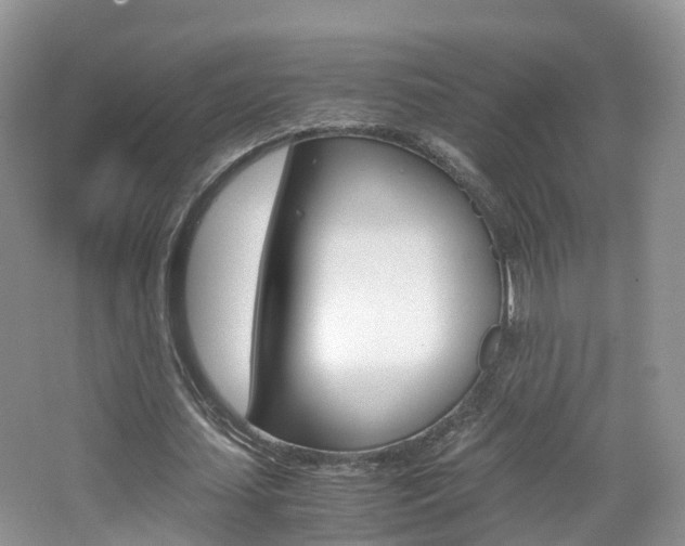 X0000065240627200602170955