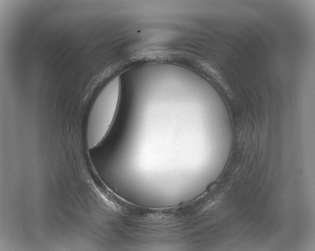 X0000065240633200602170955