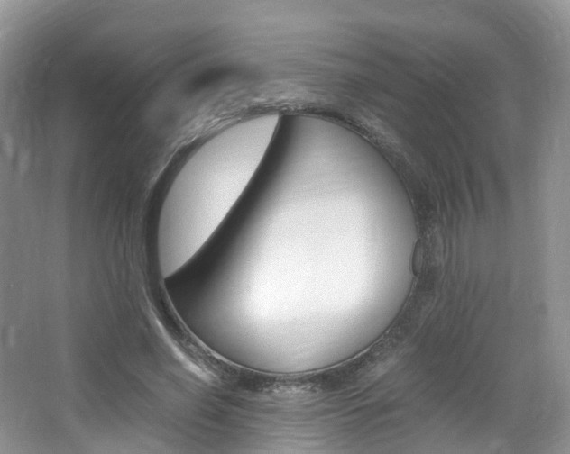 X0000065240638200602170955