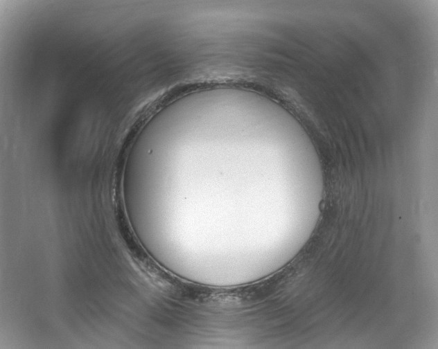 X0000065240640200602170955