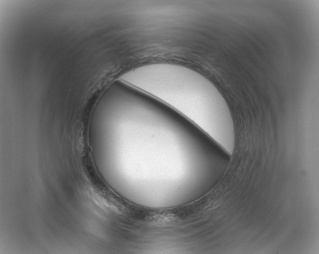 X0000065240642200602170955
