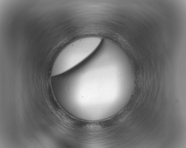 X0000065240644200602170955