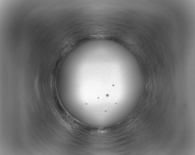 X0000065240647200602170955
