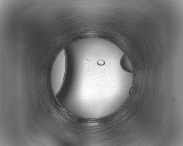 X0000065240651200602170955