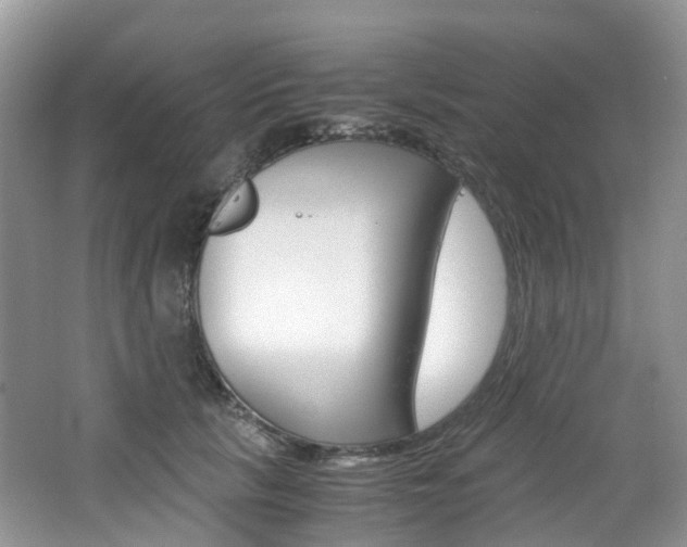 X0000065240657200602170956