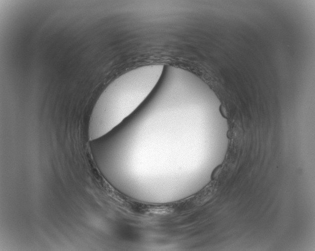 X0000065240659200602170956