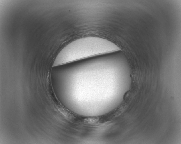 X0000065240660200602170956