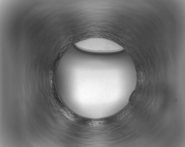 X0000065240664200602170956